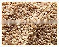 Sesame Bar Machine thumbnail-5
