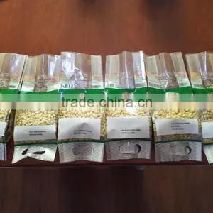 Chinese Pine Nut Kernels Small Bags thumbnail-1