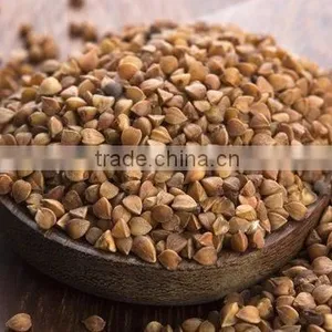 BUCKWHEAT KERNELS FOR FOOD thumbnail-2
