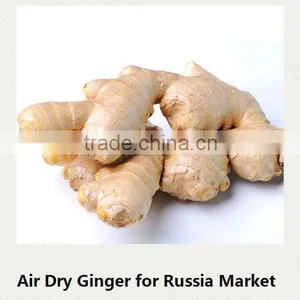 China Organic Ginger Professional Supplier thumbnail-1