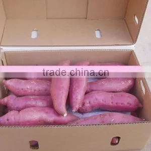 New Frozen Sweet Potatos Bulk Order for Sale thumbnail-2