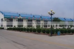 Silvcorp (Qingdao) Co., Ltd. company overview - view 2 thumbnail
