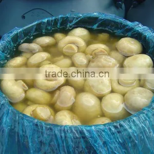 E Grade Whole Mushroom in Brine thumbnail-1