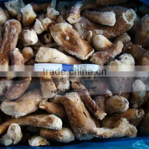 IQF Boletus Edulis thumbnail-1