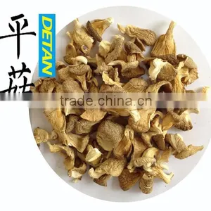 Dried Oyster Mushrooms Best Price For Buyers From China thumbnail-1