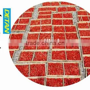 Detan Sun Dried Tomatoes thumbnail-4