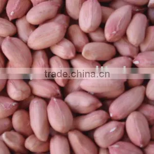 Selected Peanuts Every Size thumbnail-1