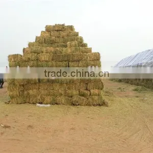 Hydraulic Baling Press Machine for Cotton,sheep Wool,waste Clothes,plastic Bottle thumbnail-6