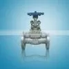 Forged Gate Valve thumbnail-1