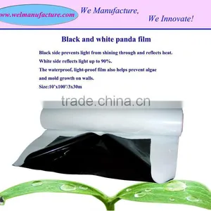 Reflective Film Panda thumbnail-1