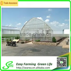 PC Covering Single Span Hothouse/glasshouse thumbnail-1