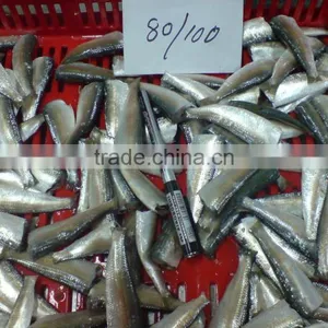 HGT Sardine thumbnail-1