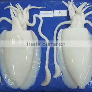 Frozen Cuttlefish Cleaned thumbnail-1