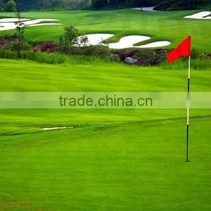 High Quality Fiberglass Golf Flag Sticks,Tapered Golf Flag Pole thumbnail-1