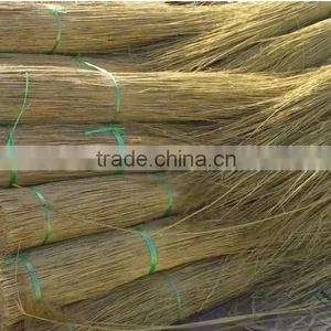 Reed Bundles thumbnail-1