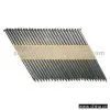 D Head Paper Nail thumbnail-1
