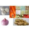 Fresh Ginger thumbnail-1