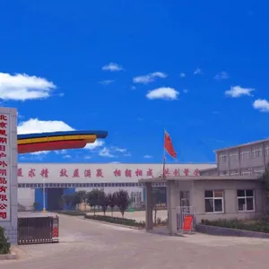 Beijing Sunday Campers Co. Ltd company overview - view 1 thumbnail