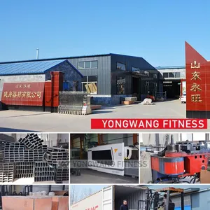 Shandong Yongwang Fitness Equipment Co., Ltd. company overview - view 1 thumbnail
