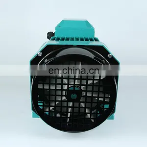 High Quality Cast Iron 3 Phase 7.5 kw 10 hp 10hp Electric Motor Price thumbnail-3