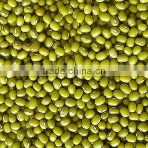 Organic Green Mung Bean thumbnail-2