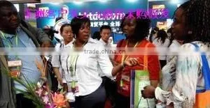 Yiwu Shengbang Hair Products Factory company overview - view 1 thumbnail