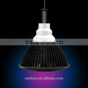 High-Tech Place 24v E27 COB LED Grow Light 21 Watts 50,000+ Hours Lifetime, Red And Blue Color Bands thumbnail-5