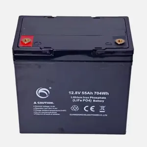 Lifepo4 Lithium Iron Phosphate 12.8V 55AH Rechargeable Batteries thumbnail-2