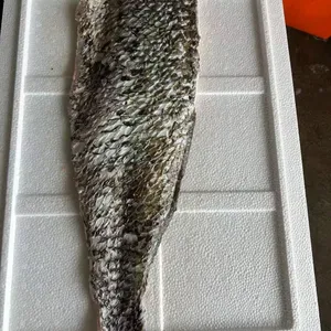 Brown Croaker thumbnail-2