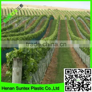 Anti Bird Net for Shrimp Pond Cover/bird Mist Netting thumbnail-1