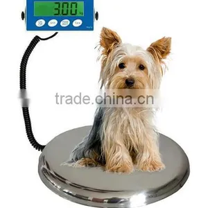 Little Veterinary Scale Feline Scale thumbnail-1
