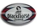Rugby Ball thumbnail-1