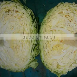 Fresh Round Cabbage thumbnail-1