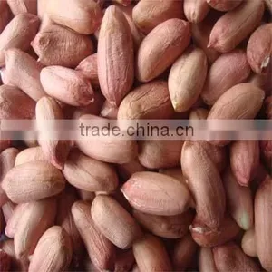 PEANUT ,BIGGEST PEANUT & PUMPKIN SEEDS FACTORY thumbnail-1