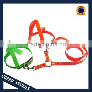 New Product TPU Dog Coupler With Leash thumbnail-1