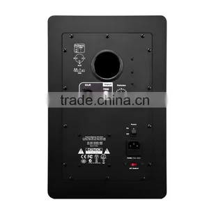 8" Monitor Speaker thumbnail-5