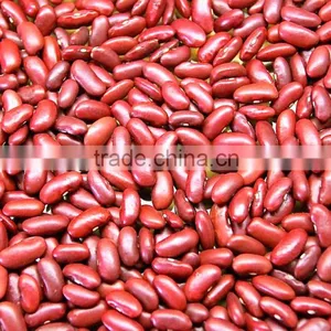 LIGHT RED KIDNEY BEANS thumbnail-1