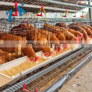 Chicken Cages Material HOt Dipped Galvanized Wire Q235 thumbnail-1