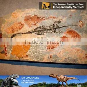 MY Dino-C091 Simulation Dinosaur Fossils Specimen Replica thumbnail-1