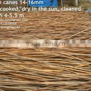 Rattan Cane Dry in the Sun 8-16mm thumbnail-1