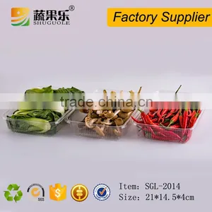 OEM Welcome PET Pepper Packing Trays on Supermarket thumbnail-6