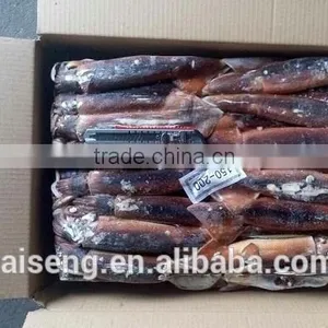 Illex Squid 150-200g for Sale thumbnail-1