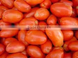 Tomato thumbnail-1
