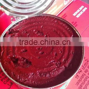 Canned Tomato Paste thumbnail-2