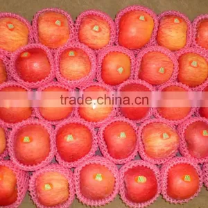 Fresh Apple,fuji Apple,apple thumbnail-2