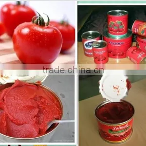Factory Price Canned Tomato Paste Brix:28%-30% thumbnail-1
