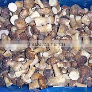 Good Quality Frozen IQF King Oyster Mushroom Pieces thumbnail-6
