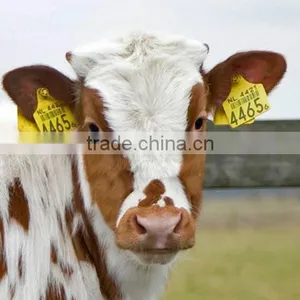 Animal Livestock Identification Cattle Ear Tags thumbnail-5