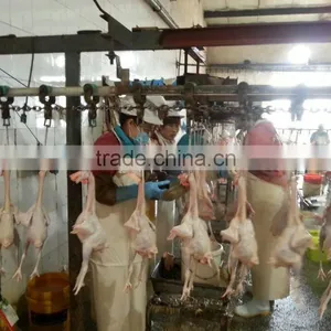 Best Quality Stainless Steel Poultry Slaughter House for 500bph 1000bph thumbnail-3