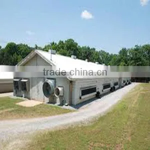 China Fully Automatic Poultry House thumbnail-1